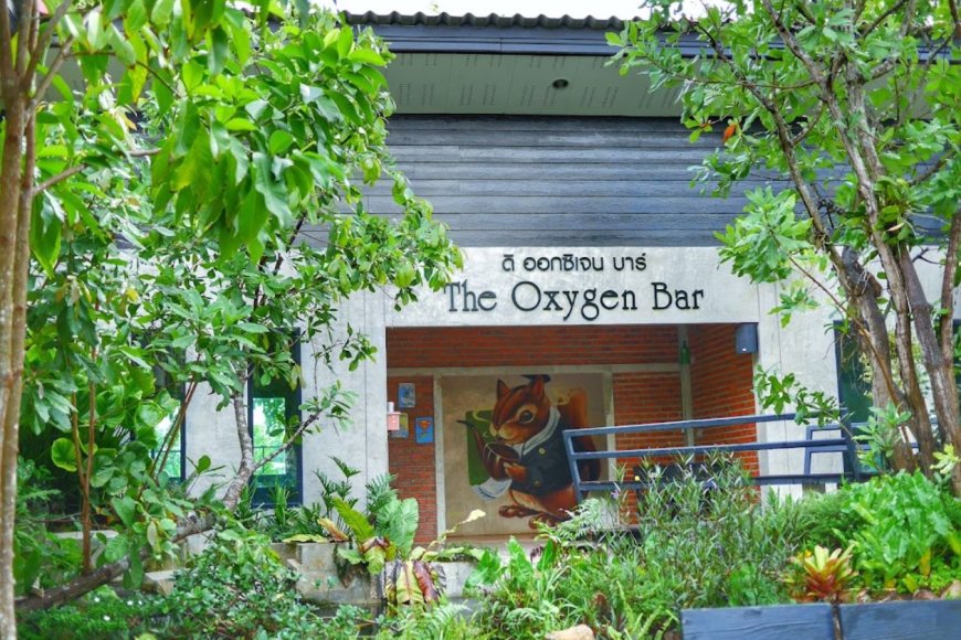The Oxygen Bar(ดิ ออกซิเจน บาร์)