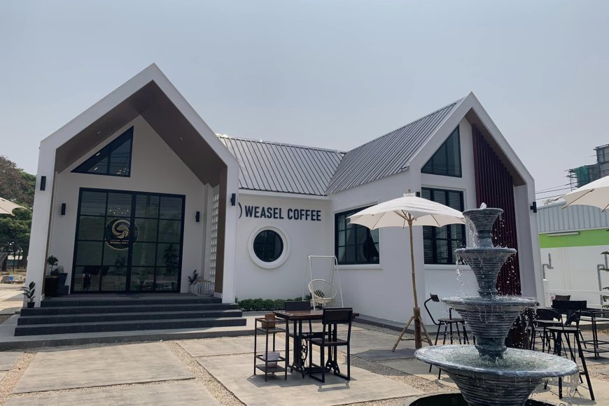 วีเซิล คอฟฟี่ Weasel Coffee Maesot