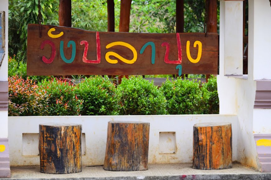 วังปลาปุง อำเภออุ้มผาง จังหวัดตาก
