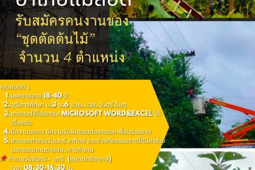 การไฟฟ้าแม่สอด รับสมัครคนงานของ“ชุดตัดต้นไม้” จำนวน 4 ตำแหน่ง
