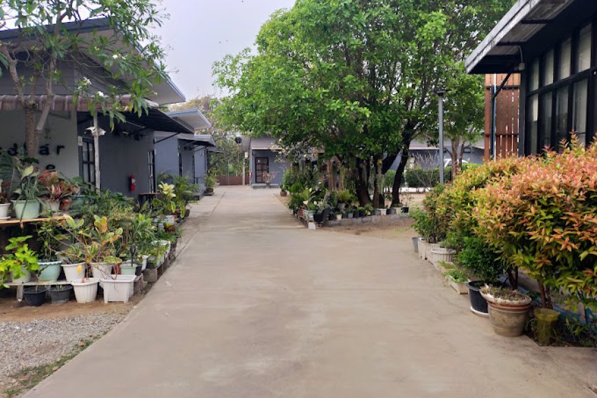 เบดบาร์ รีสอร์ท(Bed Bar Resort)