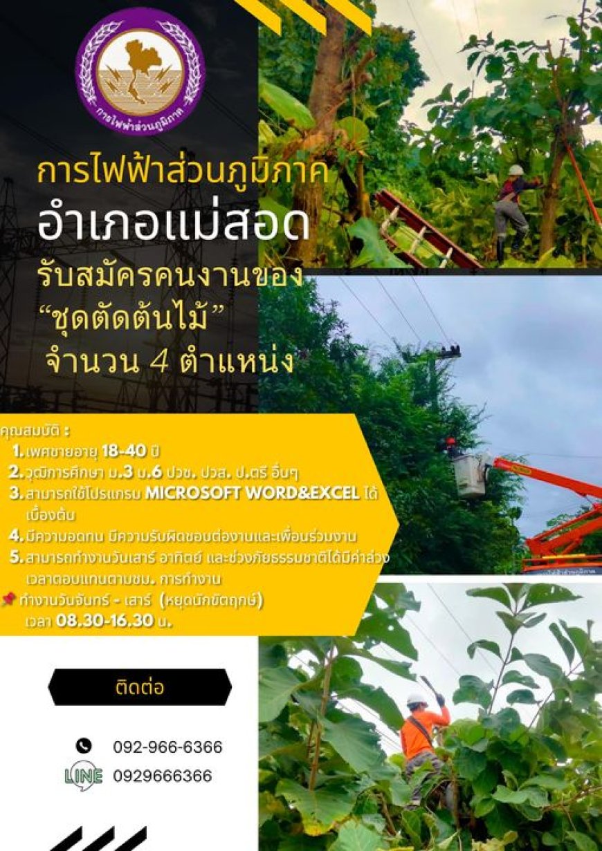 การไฟฟ้าแม่สอด รับสมัครคนงานของ“ชุดตัดต้นไม้” จำนวน 4 ตำแหน่ง