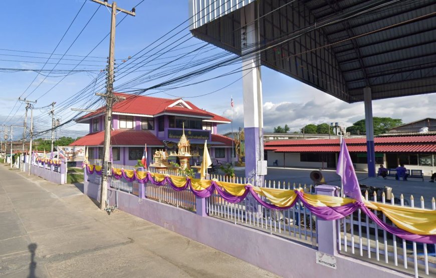 องค์การบริหารส่วนตำบล ป่ามะม่วง