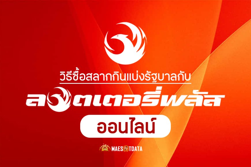 ลอตเตอรี่พลัส ซื้อยังไง วิธีซื้อลอตเตอรี่รัฐบาลออนไลน์ 2025
