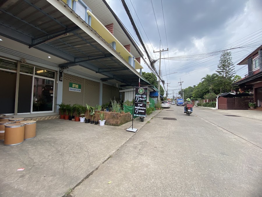 Reptile cafe FJ Maesot - คาเฟ่สัตว์เลื้อยคลาน