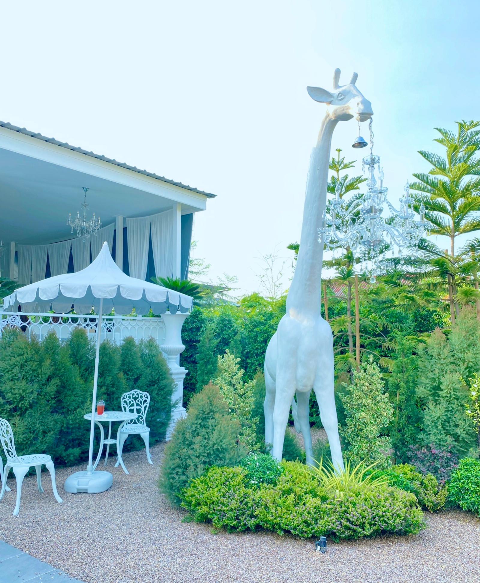 Sun secrets Cafe & Restaurant